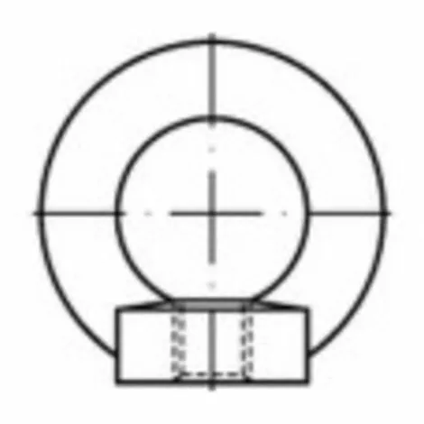 TOOLCRAFT 109404 Écrou à Anneau M20 DIN 582 Acier 1 Pc(s) 1 TOOLCRAFT 109404 Écrou à Anneau M20 DIN 582 Acier 1 Pc(s)